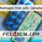 Kamagra Oral Jelly Canada new02